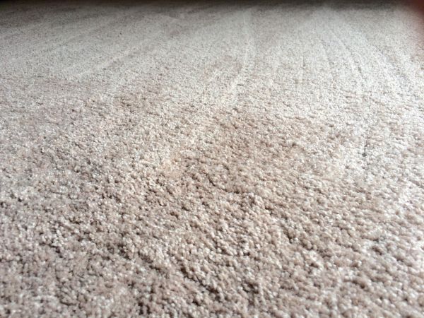 Plush Carpet Installation in Milford