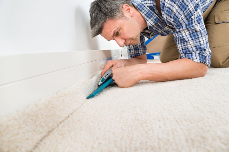 Pet Stain Carpet Repair